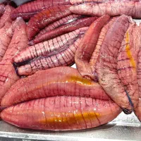 فروش و ارسال انواع تخم ماهی جنوب به سراسر کشور