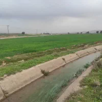 زمین-کشاورزی