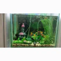 آکواریوم سالم / و دو عدد قفس سالم