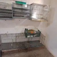 قفس پرنده آکواریوم