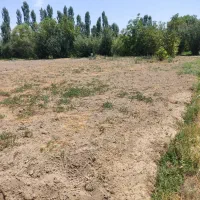 زمین کشاورزی با برق|فروش زمین و ملک کلنگی|نوشین شهر, |دیوار