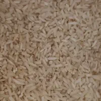 برنج خوشپخت