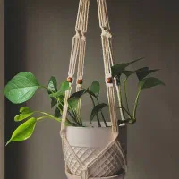 اویزگلدان|گل و گیاه طبیعی|لالی, |دیوار