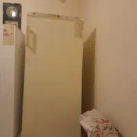 فریزر آزمایش موتور دانفوس