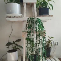 استند و پایه گل