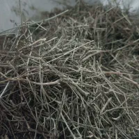 پوشال زیره سبز