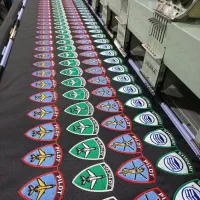 کارگر گلدوزی حرفه ای