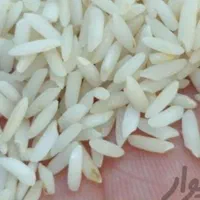 برنج دورود.برنج. سالم.برنج نیمدانه|خوردنی و آشامیدنی|دورود, |دیوار