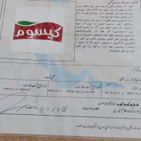 فروش مشارکت برند غذایی طبقه نوشیدنی