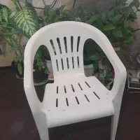 صندلی پلاستیکی