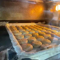 اشپز حرفه ای
