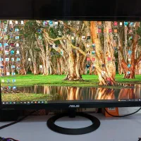 مانیتور 24 اینچ ASUS با کیفیت 2K