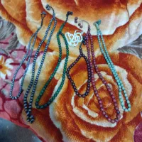 تسبیح دانه خرما وحشی