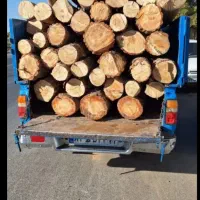 خرید نقدی همه نوع چوب باغی بالاترین قیمت