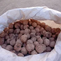 حدود ۵۰ کیلو گردو تازه امسال|خوردنی و آشامیدنی|اردل, |دیوار