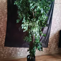 درختچه مصنوعی مشابه طبیعی با تنه چوب طبیعی|گل مصنوعی|تهران, افسریه|دیوار