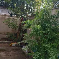 فروش ویلای فلت محسن اباد|فروش خانه و ویلا|کیاشهر, |دیوار