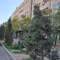 فروش آپارتمان ۸۰ متری ۲ خوابه همکف در هاشم‌آباد|فروش آپارتمان|ری, هاشم‌آباد|دیوار