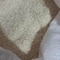 لاشه برنج طارم