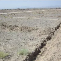 فروش زمین مسکونی