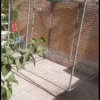 قفس بزرگ