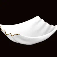ضایعات چینی