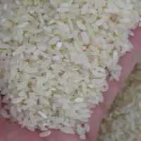 برنج کامفیروزی معطر  اعلاءاصفهان کارت کالابرگ آزاد|خوردنی و آشامیدنی|اصفهان, رزمندگان|دیوار