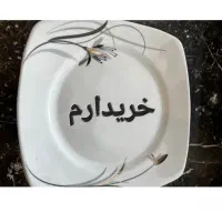 ظروف چینی