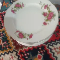 ۱۲تابشقاب پلوخوری