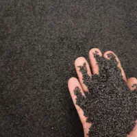 بذر پیاز مینروا آرژانتینی تضمینی