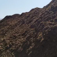 پخش انواع کود حیوانی پوسیده و خاک باغچه|خدمات باغبانی و درختکاری|محمدشهر, محمدشهر|دیوار