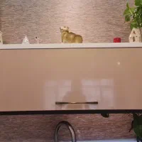 آبچکان ، کابینت|آب‌چکان و نظم‌دهنده ظروف|کرج, گلستان|دیوار