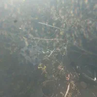 باربند وکفی وانت|قطعات یدکی و لوازم جانبی|فرمهین, |دیوار