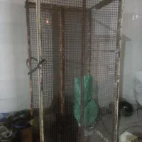 دوتا تخت فلزی|تخت و سرویس خواب|کازرون, |دیوار