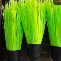 استخدام کارگر خانوم