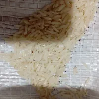 برنج هاشمی دره رود