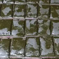 سبزی خورشتی و ماهی