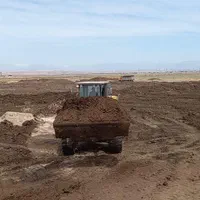 کودکهنه پوسیده گاوی و گوسفندی سوخته نرم|خدمات باغبانی و درختکاری|ماهدشت, |دیوار