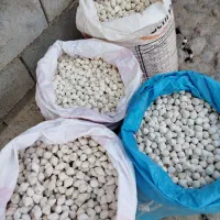 کشک ریز صاف سفیدگوسفندی درجه یک