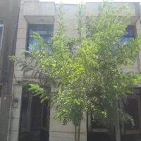 ویلای دربست