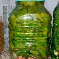 انواع ترشی های خوشمزه و بهداشتی|خوردنی و آشامیدنی|اسدآباد, |دیوار