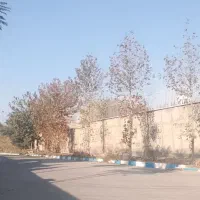 ۳۰۰مترزمین بافت سندداربامجوز سهیلیه زعفرانیه کردا|فروش زمین و ملک کلنگی|رامجین, |دیوار