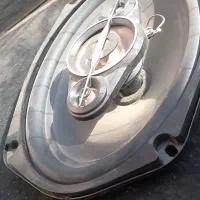 4عدد باند shinto