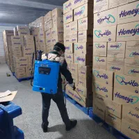 سمپاشی تضمینی منزل ومحل کار بامجوزعلوم پزشکی شیراز|خدمات نظافت|شیراز, انجیره|دیوار