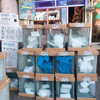 فروشگاه اکواریوم امیر