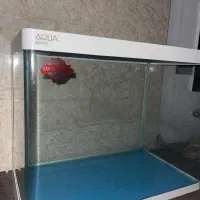 اکواریوم و وسایل