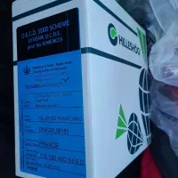 بذر چغندر شرکتی|خدمات باغبانی و درختکاری|دشت ذهاب, |دیوار