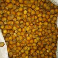 فندق درجه یک الموت تازه و خوشمزه