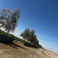 زمین باغ باغچه کشاورزی با آب