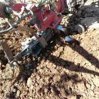 کار کشاورزی|خدمات باغبانی و درختکاری|زرند, |دیوار